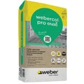 Weber