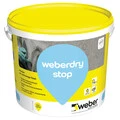Weber