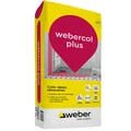 Weber