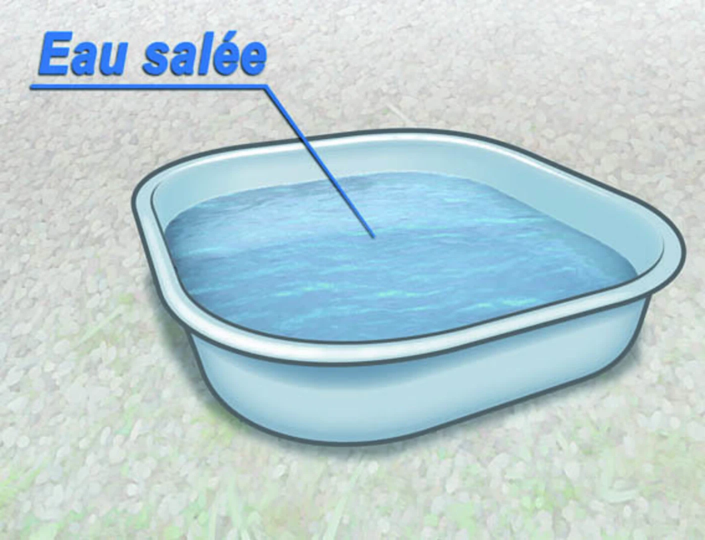 Eau salée