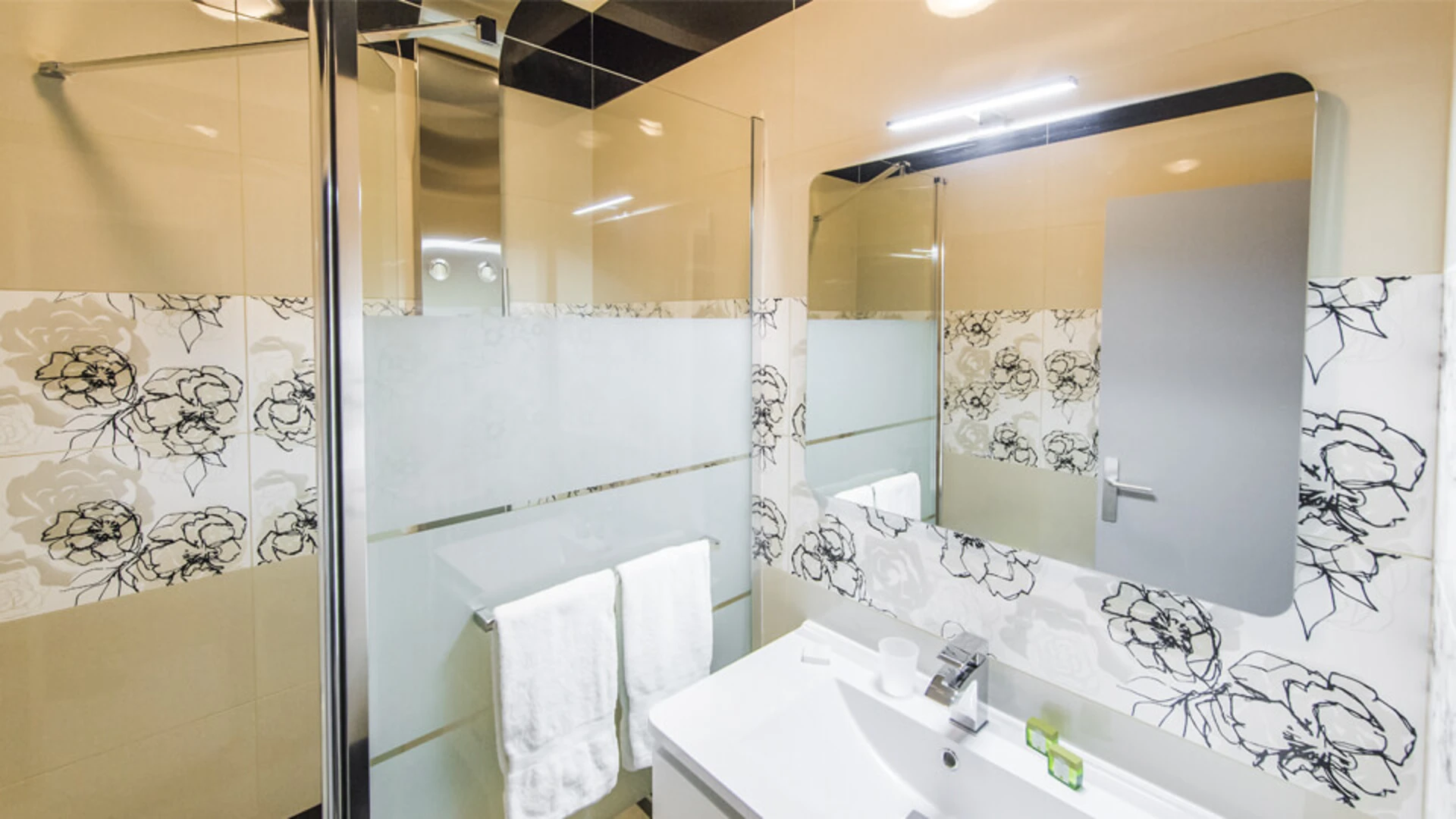 salle de bain douche 