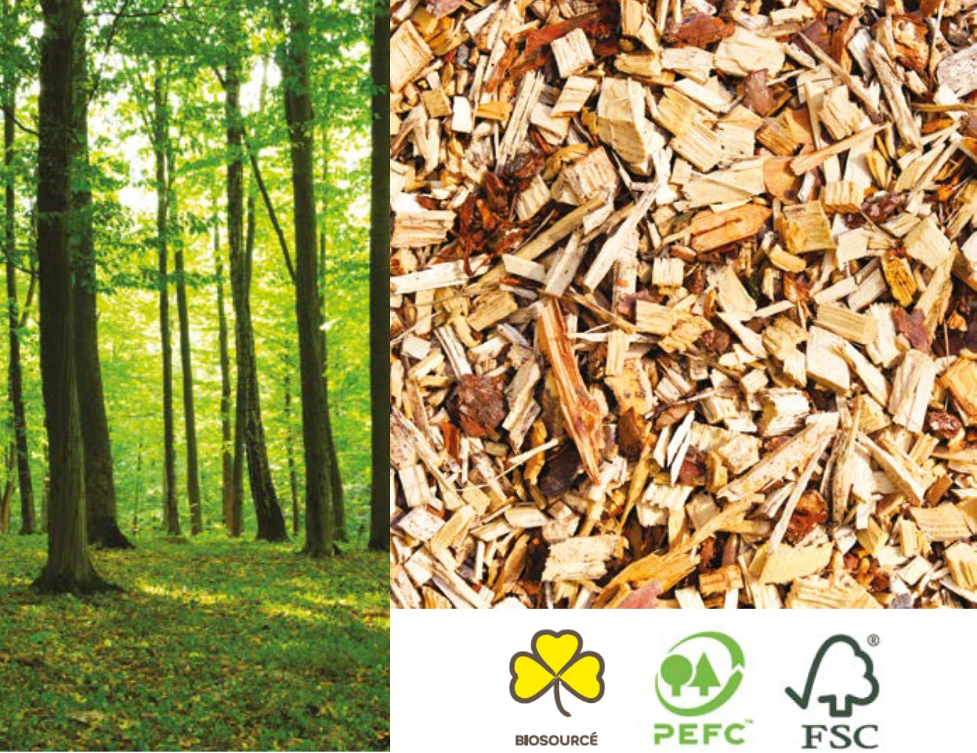 fibre de bois