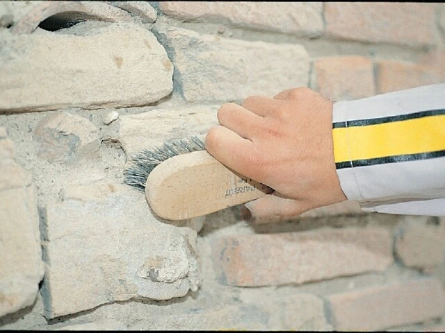 Brosser pour éliminer les parties pulvérulentes