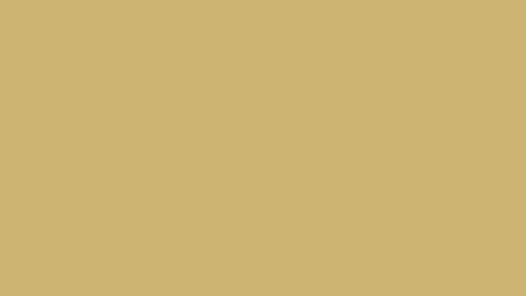 307 - Jaune Vert 