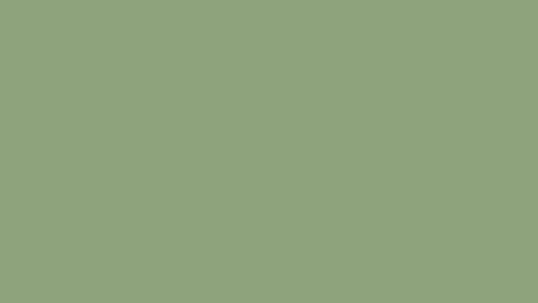 574 - Schiste Vert 