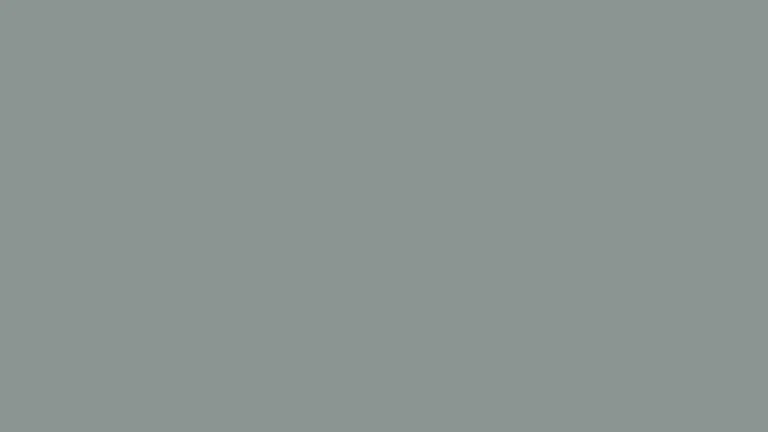 E09 - gris acier
