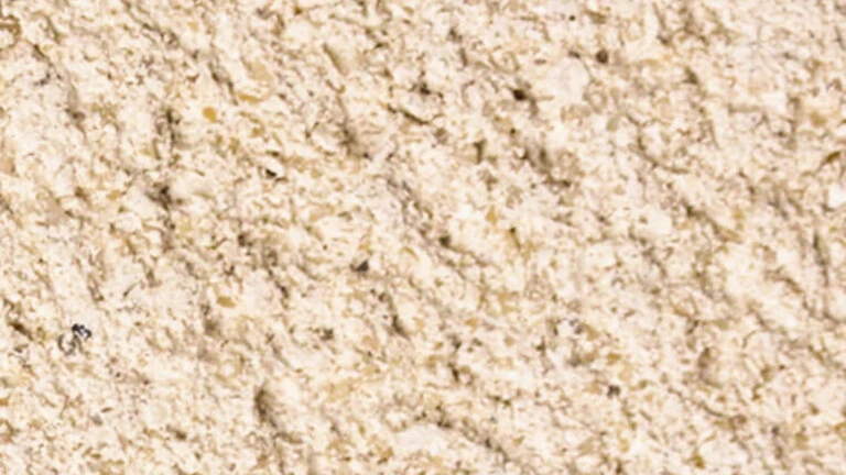009 - Beige