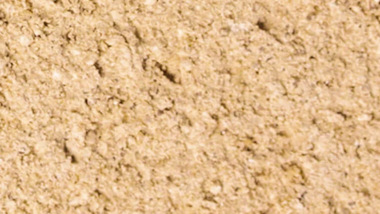 010 - Beige ocre 