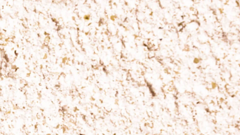 252 - Beige pâle 