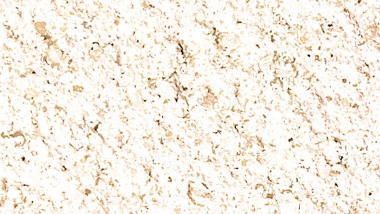 000 - Blanc