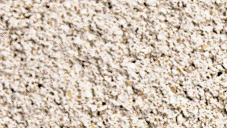 203 - Cendre beige clair