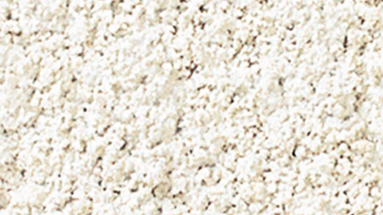 000 - Blanc