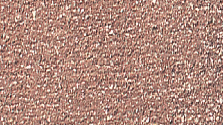 70-7006 - FF 