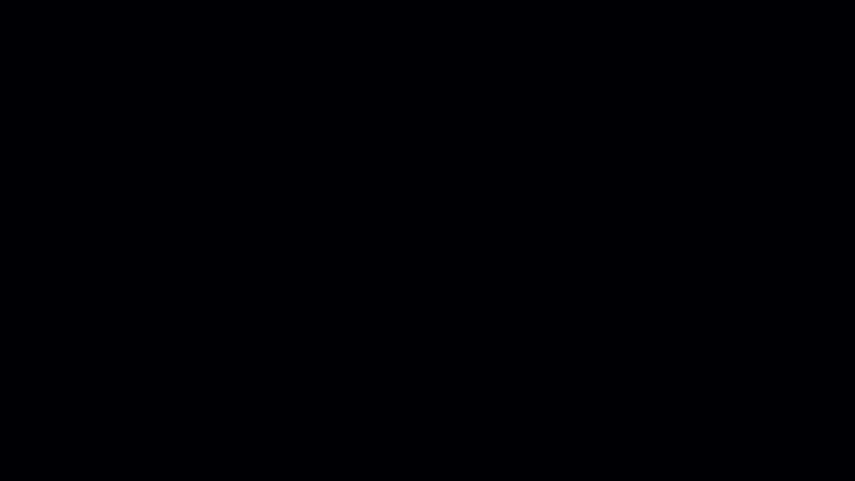 E12 - noir minéral