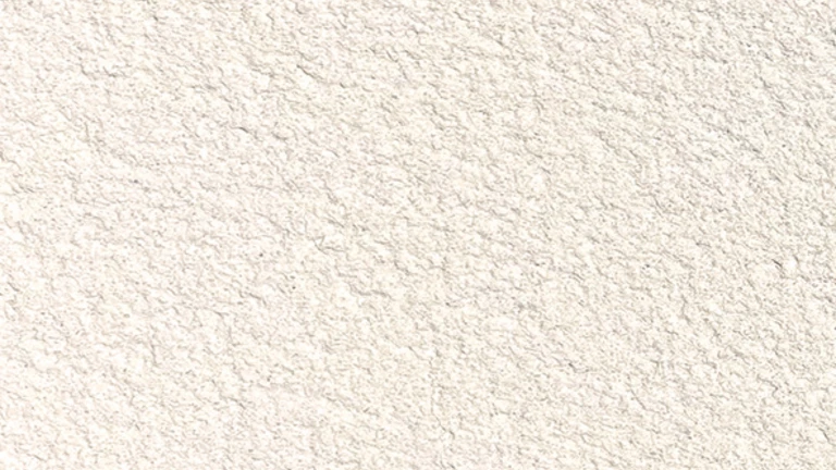 Blanc - 000