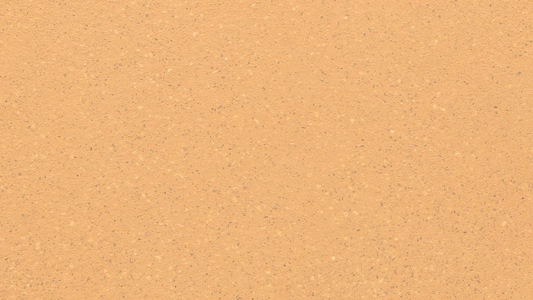 Orange flamboyant - 103