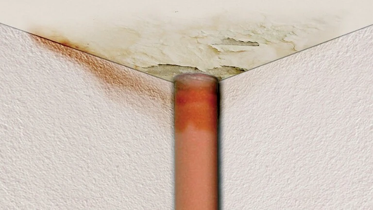 L'infiltration de l'eau dans les murs entraîne des dégradations