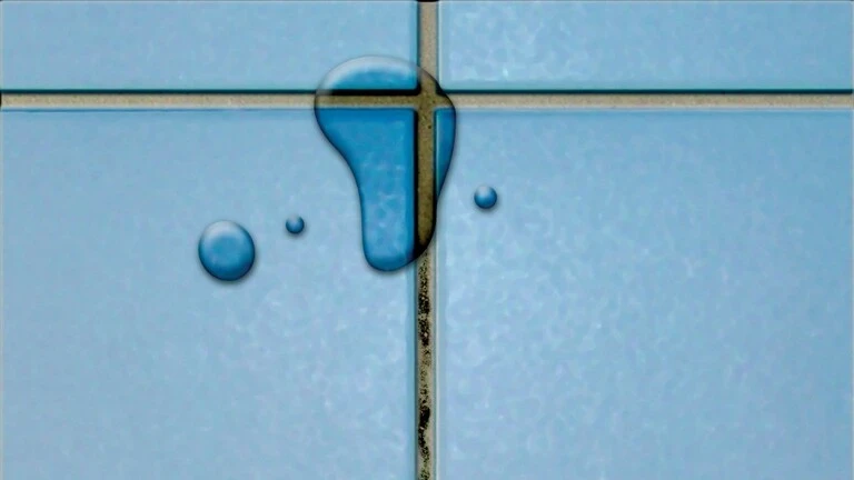 Les joints sont des points potentiels de passage d'eau