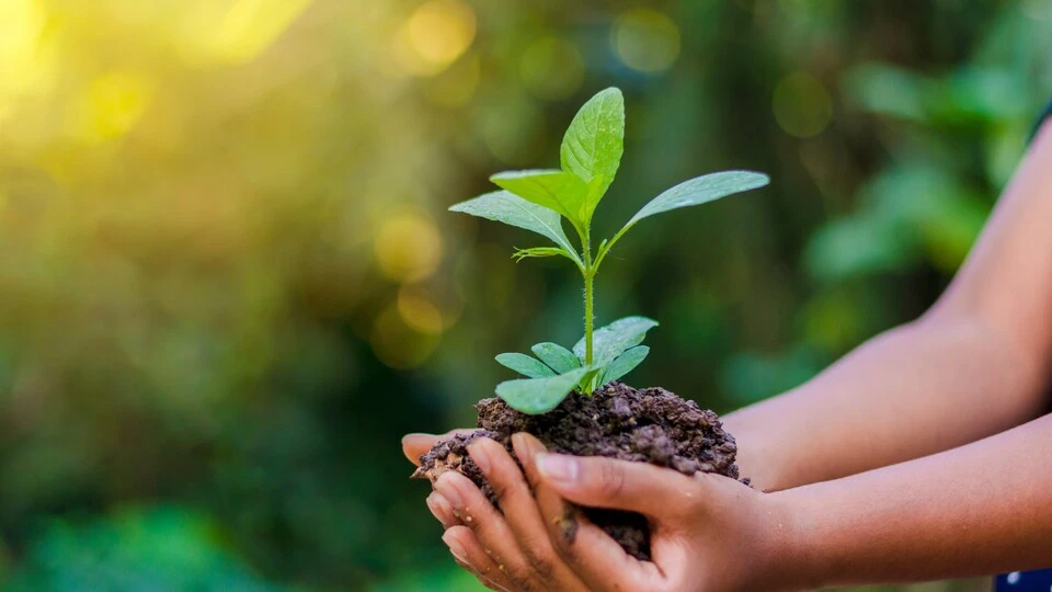 Isolation thermique par l'extérieur - Eco-responsabilité