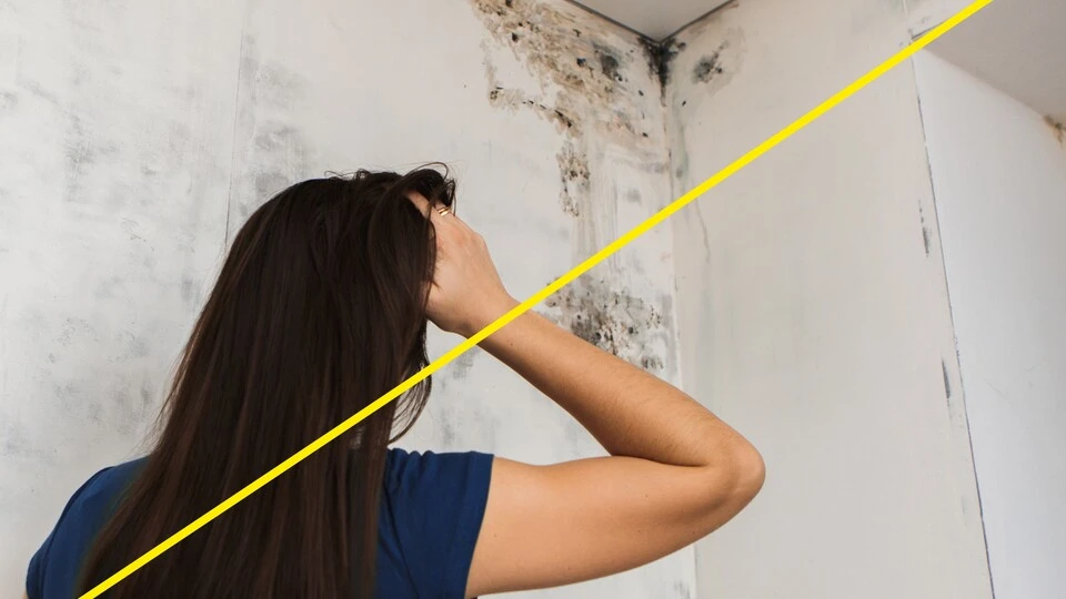 Isolation thermique par l'extérieur - Respirabilité des murs
